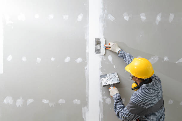 Best Mold Prevention Services  in Cross Roads, TX
