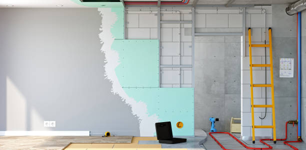 Best Black Mold Removal  in Cross Roads, TX