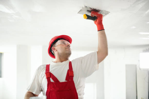 Cross Roads, TX Mold Removal Company