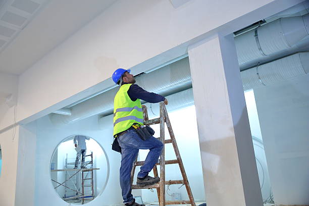 Best Post-Construction Mold Inspection  in Cross Roads, TX